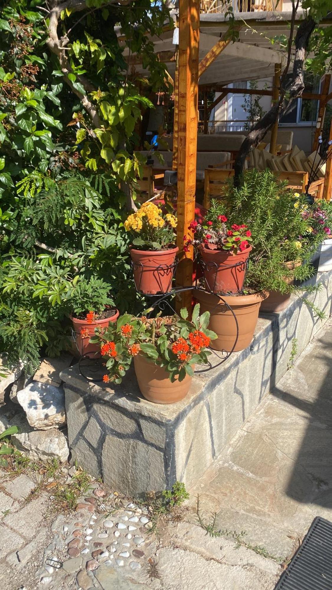 Rosemary Pansiyon Cirali Bagian luar foto